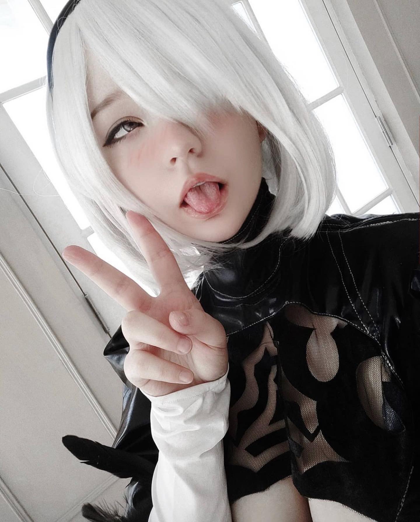 337323983 946864093154197 2059278537046992910 n